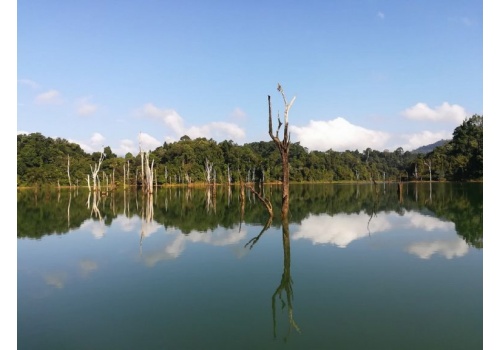 khao-sok-jungle-and-lake-expedition-3d2n04-768x576