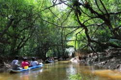 The Little Amazon &amp; Sri Phang Nga Waterfall FLEXI_IMAGE 4