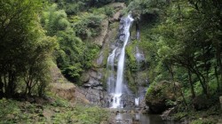 The Little Amazon &amp; Sri Phang Nga Waterfall FLEXI_IMAGE 1