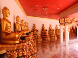 Three Famous Temples Tour FLEXI_IMAGE 1