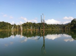 Khao Sok Jungle and Lake Expedition 3 Days 2 Nights FLEXI_IMAGE 2