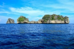 From Phuket : Full-Day Snorkeling in Haa and Rok Island FLEXI_IMAGE 3